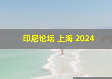 印尼论坛 上海 2024